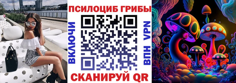 Галлюциногенные грибы Magic Shrooms Гурьевск