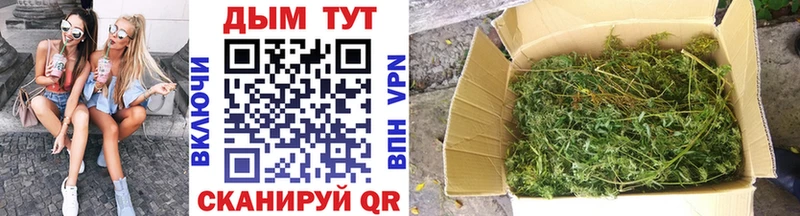 купить наркотики цена  Гурьевск  Марихуана Amnesia 